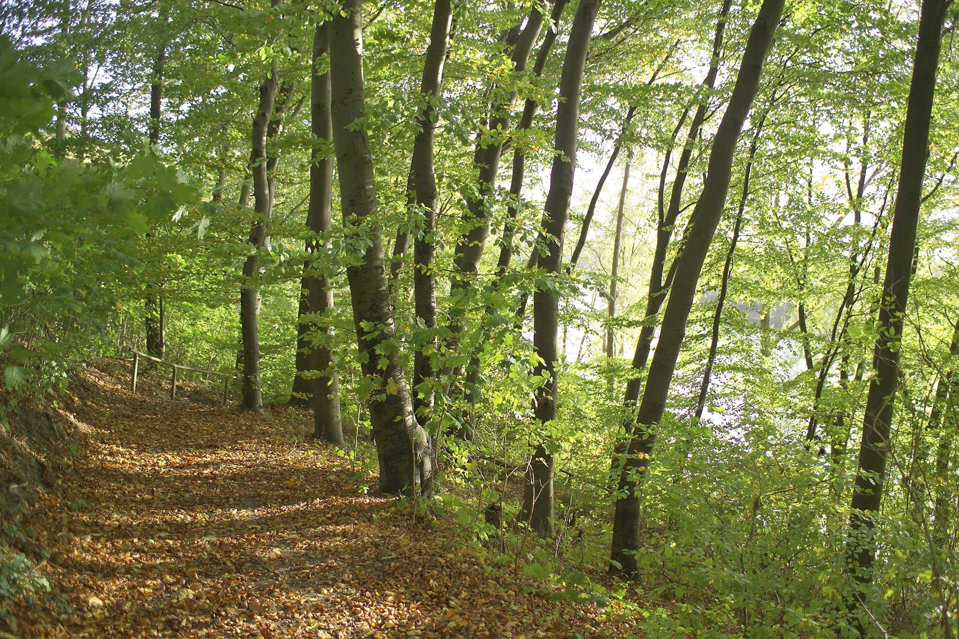 Ein wunderbarer Wanderweg im Thüringer Wald an der Werra bei Creutzburg.